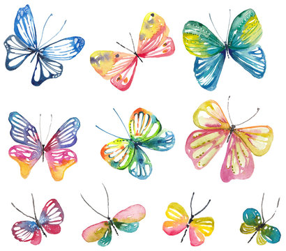Watercolor butterfly collection