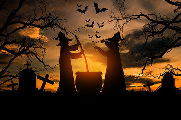 Witch in the halloween night, Concept halloween. - 165510243