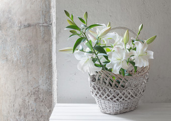 beautiful white lily in basket on background old wall