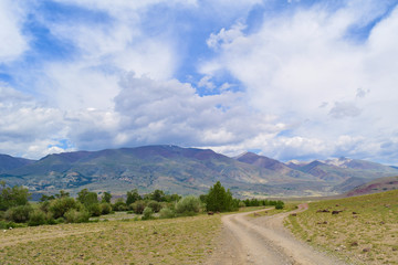 Steppe and dirt road in Altai mountains. Altay Republic, Siberia, Russia.