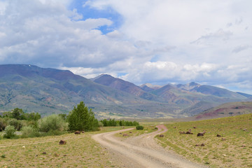 Earth road in steppe in Altai mountains. Altay Republic, Siberia, Russia.