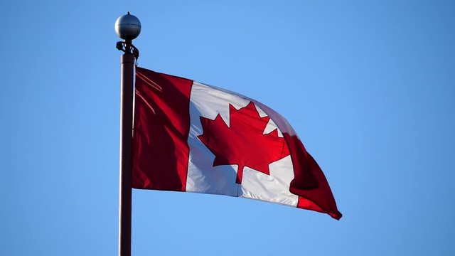 Slow motion of Canadian flag flying on flagpole in a blue sky for celebrating Canada 150 years