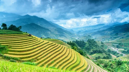 Acrylic prints Rice fields Rice field on terrace Mu Cang Chai Yen Bai,Vietnam