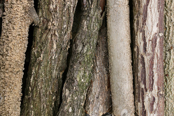 Background of Pile of Cut Wood Logs