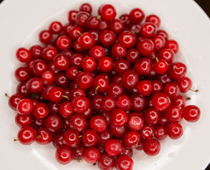 Cherry in a white plate. Selective focus.