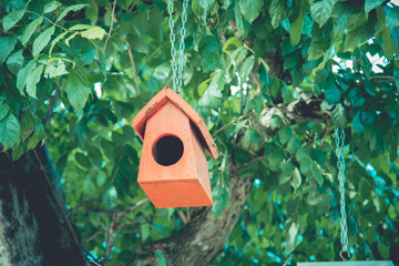 Colorful bird nest on the tree