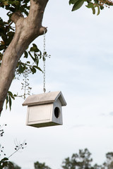 Colorful bird nest on the tree