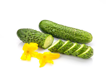Cucumber