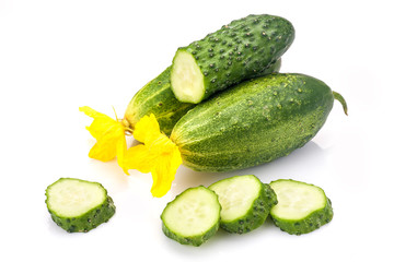 Cucumber