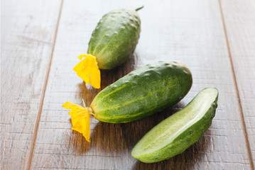 Cucumber