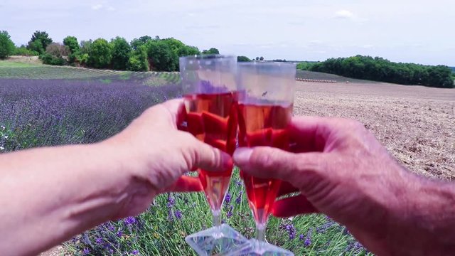 Coup de vin ros&eacute; dans les champs de lavande et bl&eacute;.