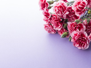 カーネーション