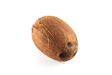 Ripe coconut close up