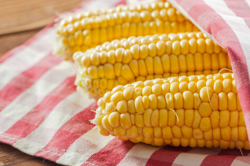 corn background