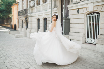 Obraz premium Beautiful bride posing in wedding dress outdoors
