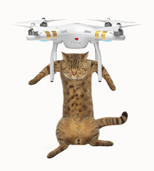The cat flies on a drone. White background.