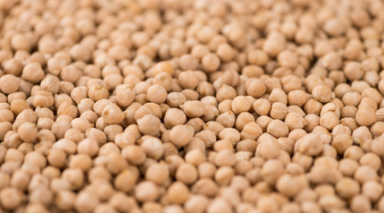 Chickpeas close-up shot, selective focus