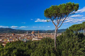 Florence cityscape - Italy