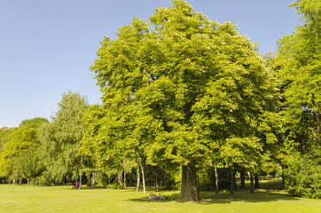 sunny summer walk in park, Budapest