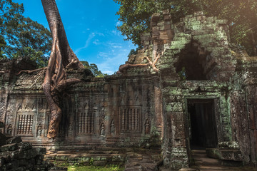 Fototapeta premium Preah Khan Temple, Angkor, Siem Reap, Cambodia.