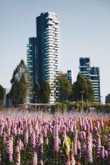 Trees and flowers in the new park in Porta nuova. with a blurred background. Milan. Lombardy. Italy