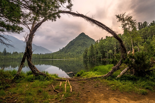 On the shore of Lake Dead. Warm lakes near Snezhnaya river. Baikal region