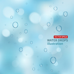 Water drops vector background.