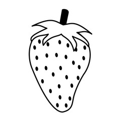 juicy sweet fresh frui