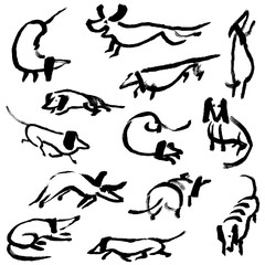 Hand drawn doodle dachshund dogs. Illustration set