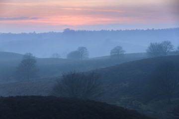 Beautiful sunset in national park the Posbank at the Hoge Veluwe in the Netherlands