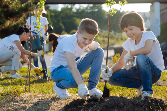 Delighted teenagers digging up hole for plant