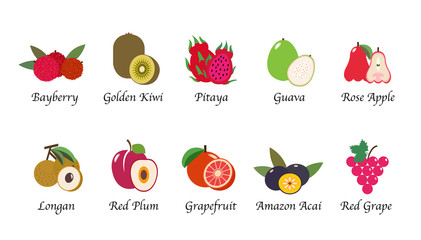 Organic nature health fruit isolated vector collection set