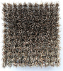 Brush Macro Texture.