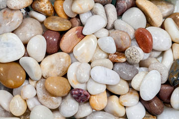 Selection of polished beach pebbles. Decorative garden aggregate.