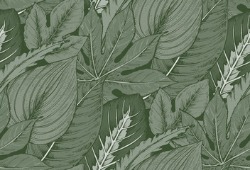 Vector seamless pattern with compositions of hand drawn tropical plants