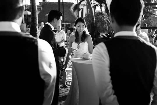 Look from behind the guests at cheerful newlyweds during the ceremony