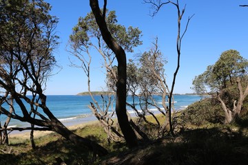 Beautiful beaches at Coffs Harbour on the mid north coast of New South Wales in Australia