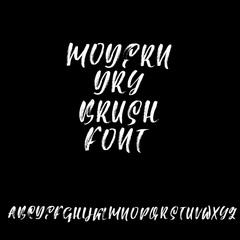 Fototapeta na wymiar Hand drawn elegant calligraphy font. Modern brush lettering. Grunge style alphabet. Vector illustration.