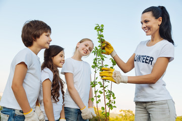 Fototapeta premium Delighted woman showing young plant