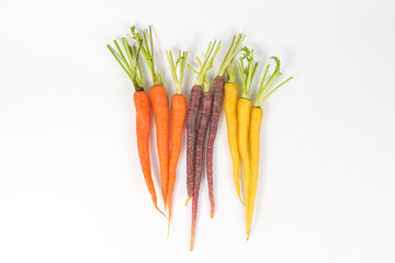 Colorful Rainbow Carrot