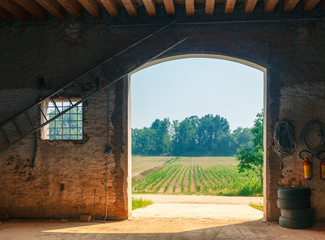 View from the barn to the field.