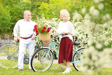 Senior couple walking with bicycles in spring park