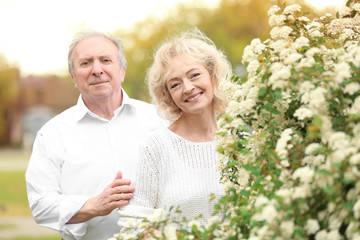 Happy senior couple near blossom bushes in spring park