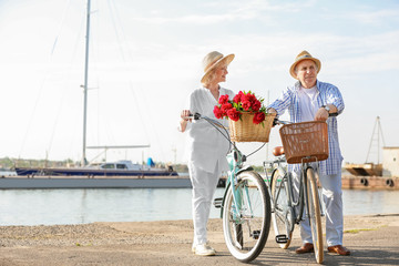 Happy senior couple with their bicycles near river