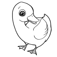 cartoon cute duck coloring page vector illustration
