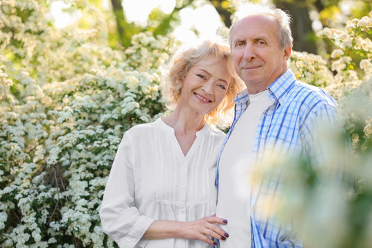 Happy Senior Couple Near Blossom Bushes In Spring Park