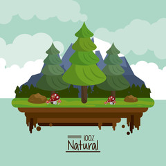 colorful poster one hundred percent natural with landscape of mountains and set of pine trees