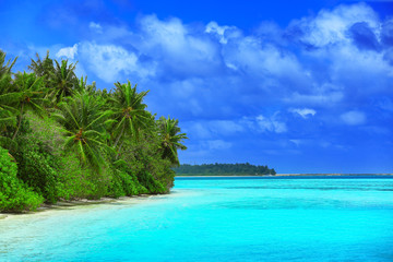 Fototapeta na wymiar View of beautiful beach at tropical resort