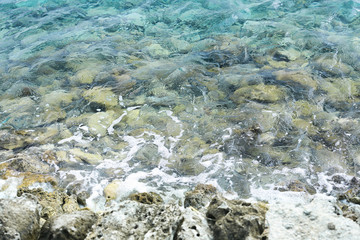 View of sea shore in summer day