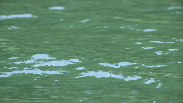 A smallmouthbass takes a lure on the surface of water